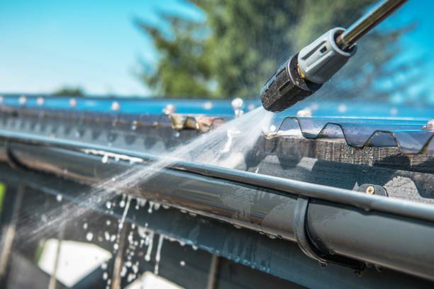 Best Residential Pressure Washing Services  in Carrizo Hill, TX
