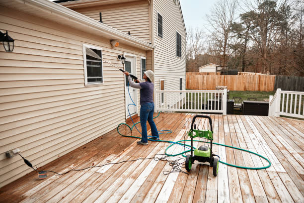 Best Roof Pressure Washing  in Carrizo Hill, TX