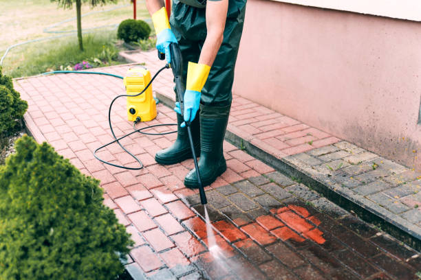 Best Roof Power Washing Services  in Carrizo Hill, TX