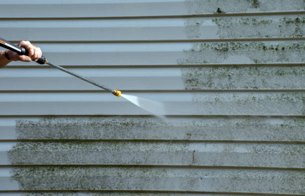 Best Affordable Pressure Washing  in Carrizo Hill, TX