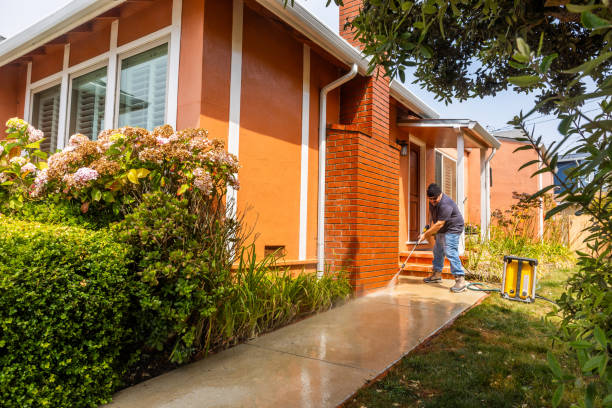 Best Local Pressure Washing Services  in Carrizo Hill, TX