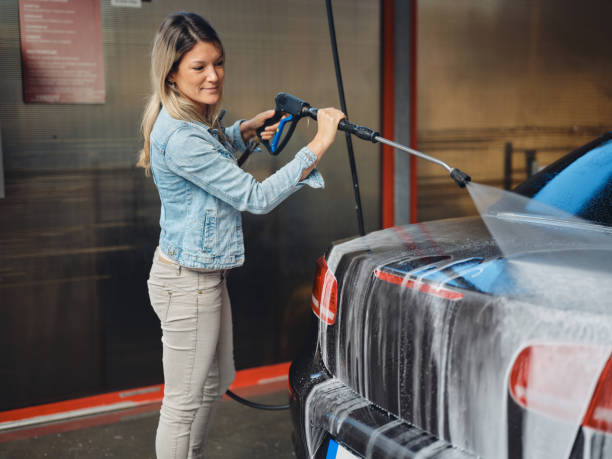 Best Affordable Pressure Washing  in Carrizo Hill, TX