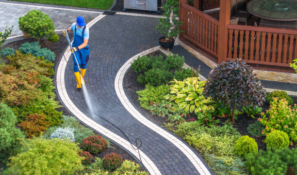 Best Power Washing Near Me  in Carrizo Hill, TX