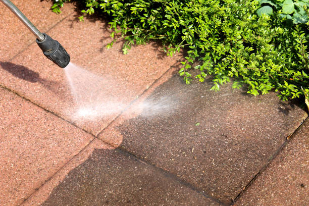Best Deck Cleaning Services  in Carrizo Hill, TX