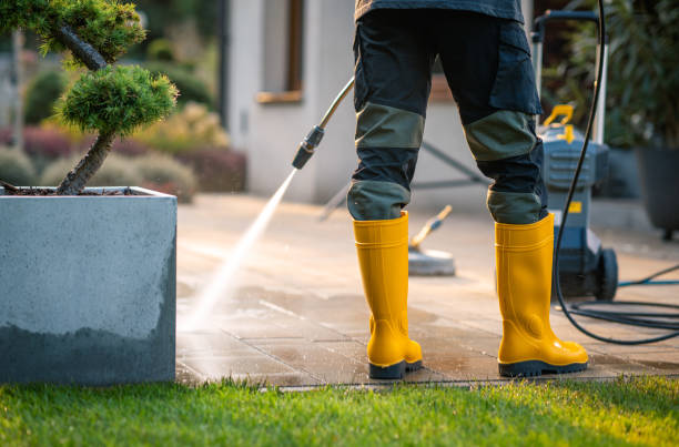 Carrizo Hill, TX Pressure Washing Company